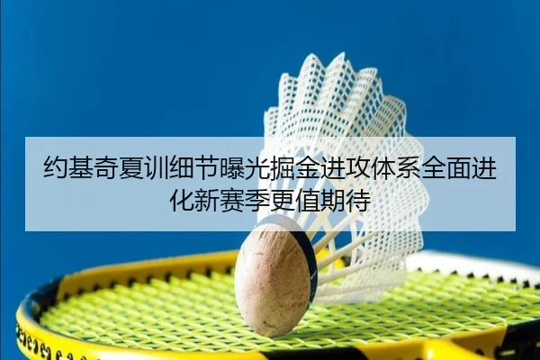 约基奇夏训细节曝光掘金进攻体系全面进化新赛季更值期待